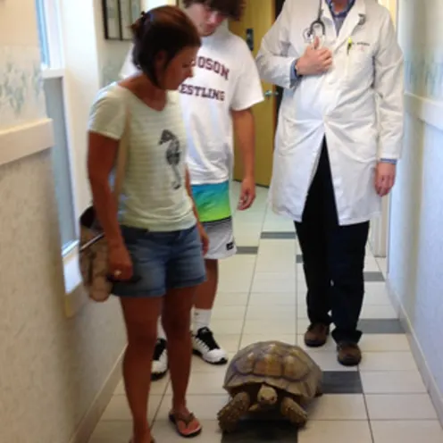 Poquoson Veterinary Hospital.  This picture shows a mom and her son, a large tortoise and a male veterinarian walking next to the tortoise in the hospital's hallway. They're watching the tortoise as he/she walks with them. 